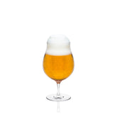 RONA Craft Beer Glass image 1