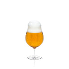 RONA Craft Beer Glass
