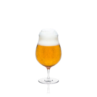 RONA Craft Beer Glass