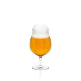 RONA Craft Beer Glass image 1