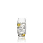 RONA Nectar Long Drink Glass